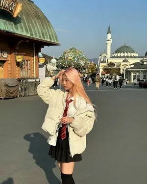 Porojin content