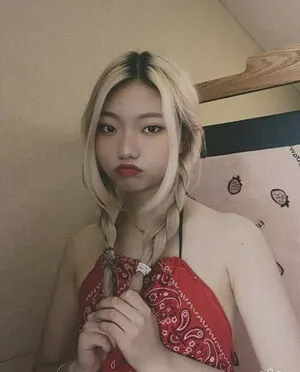 Porojin content