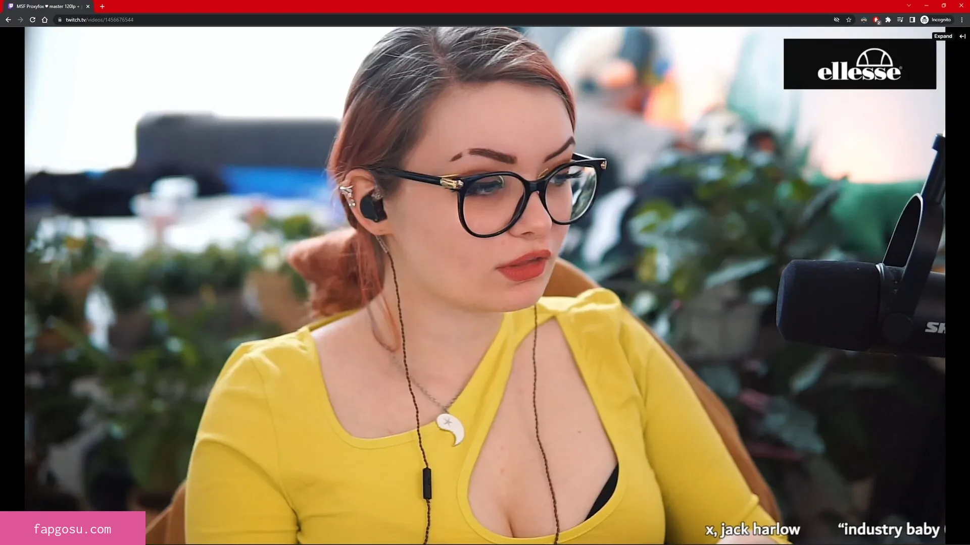 Proxyfox
