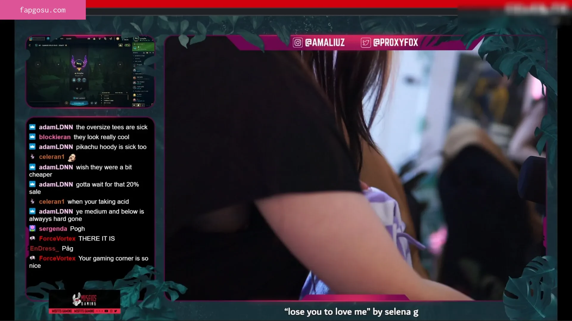 Proxyfox