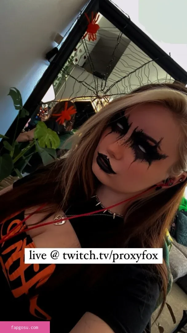 Proxyfox
