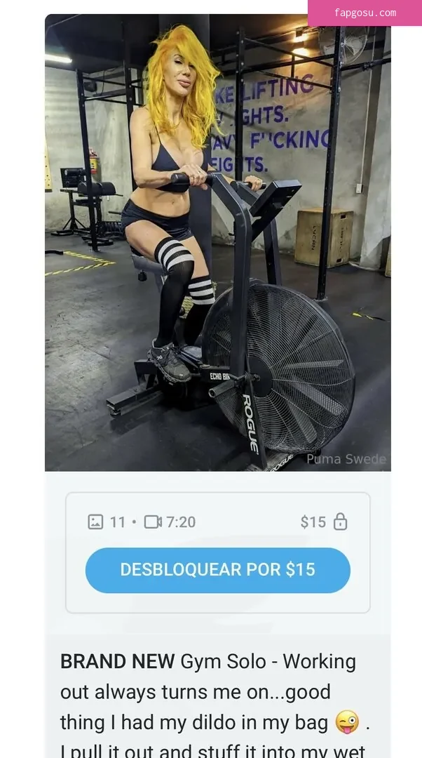 Puma Swede