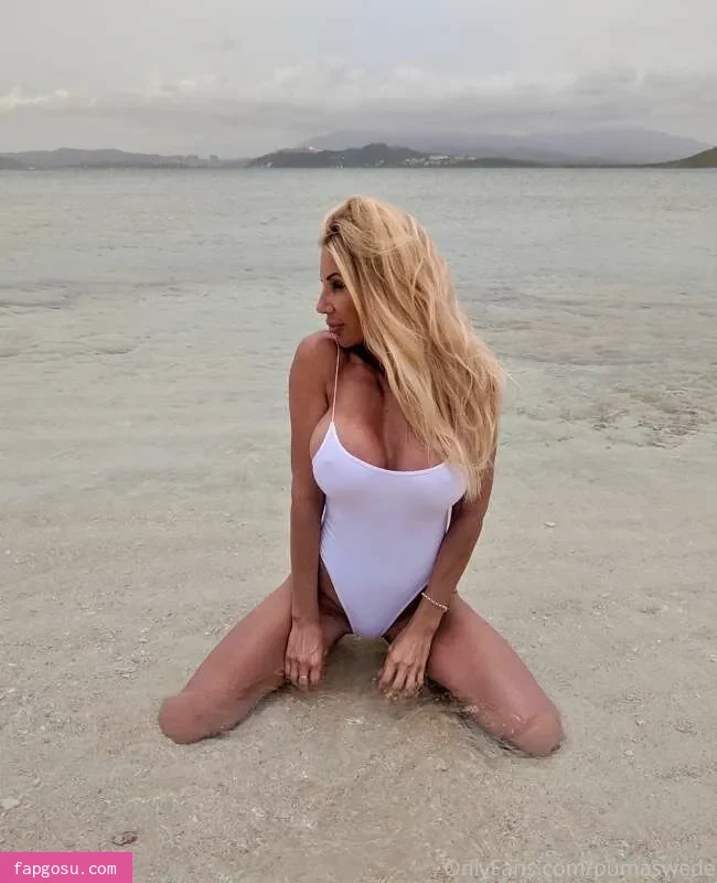 Puma Swede