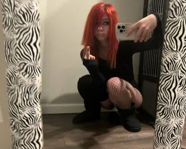 pvnks content