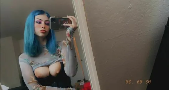 pvnks content