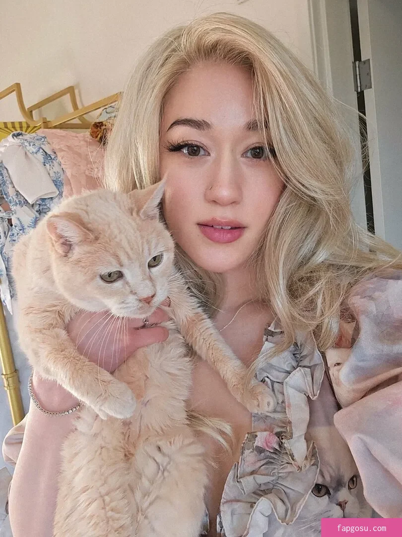 QueenTofu - Photo #212