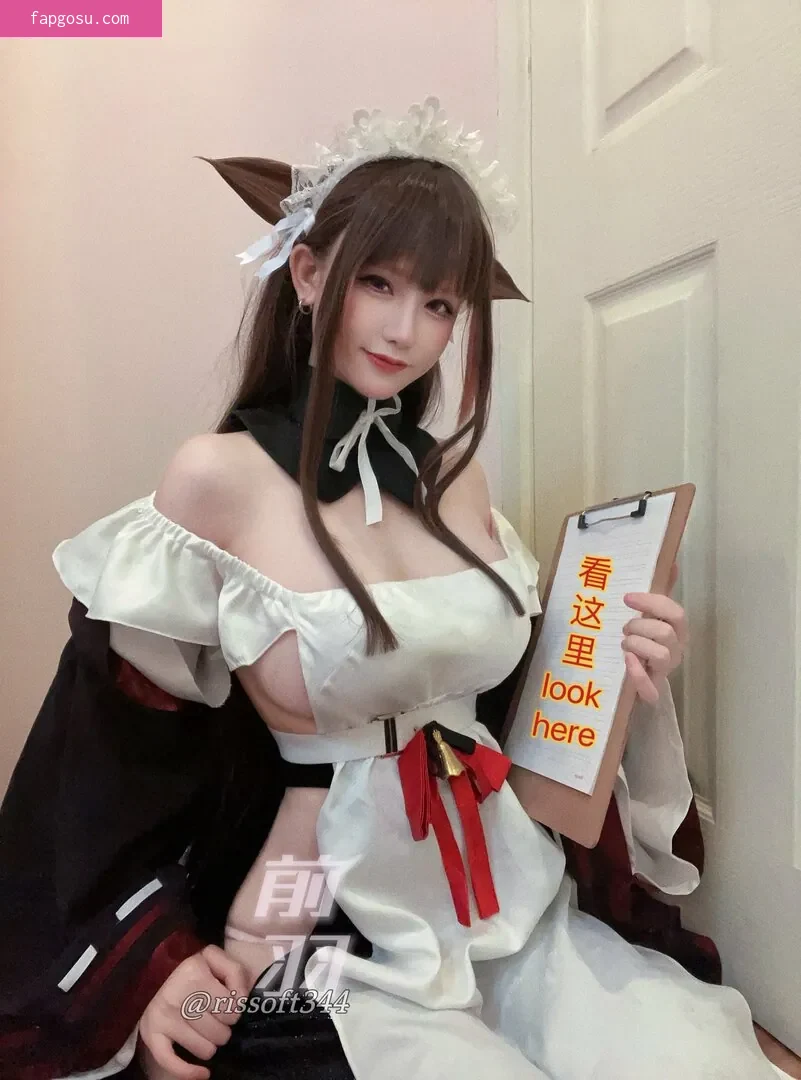 rissoft_