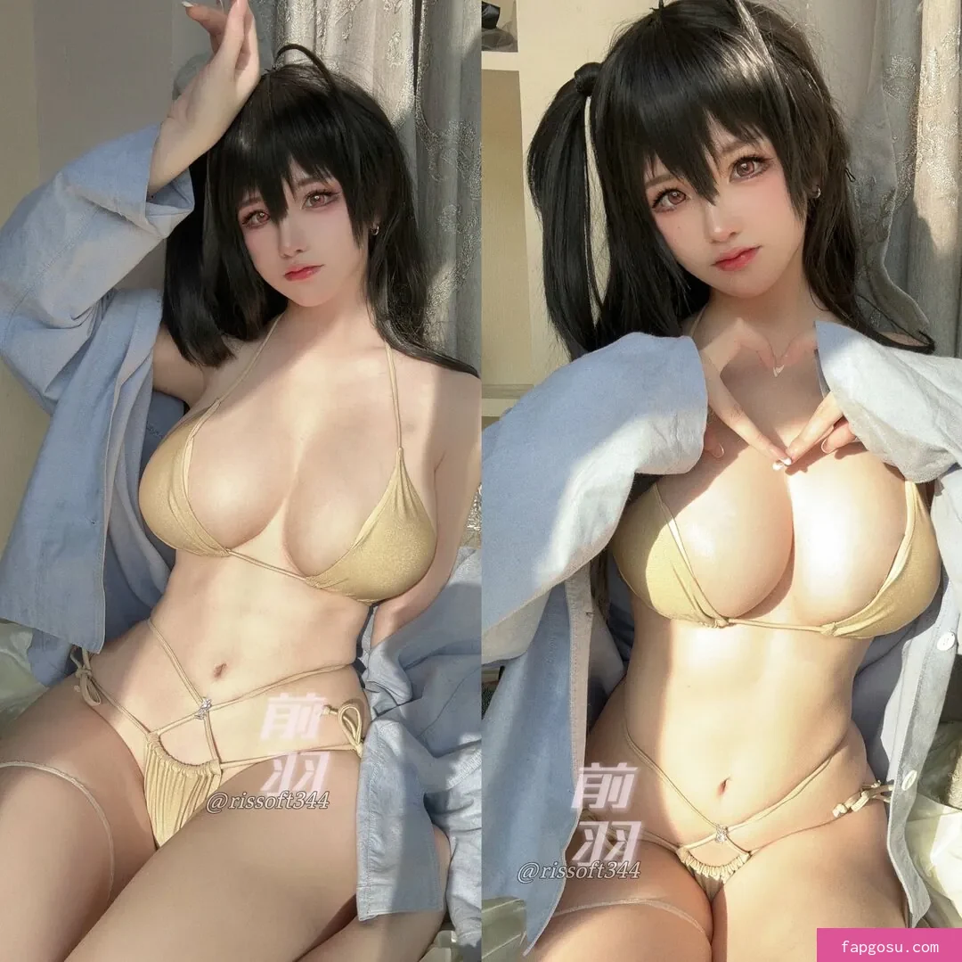 rissoft_