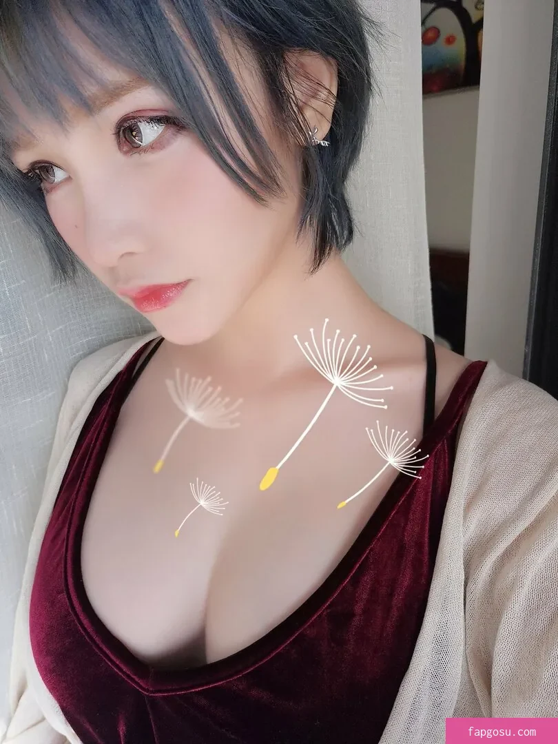 rissoft_