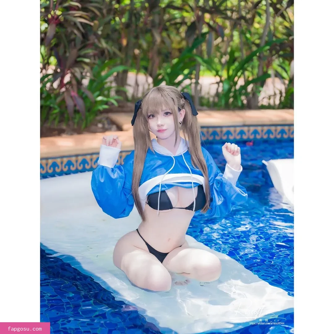 rissoft_