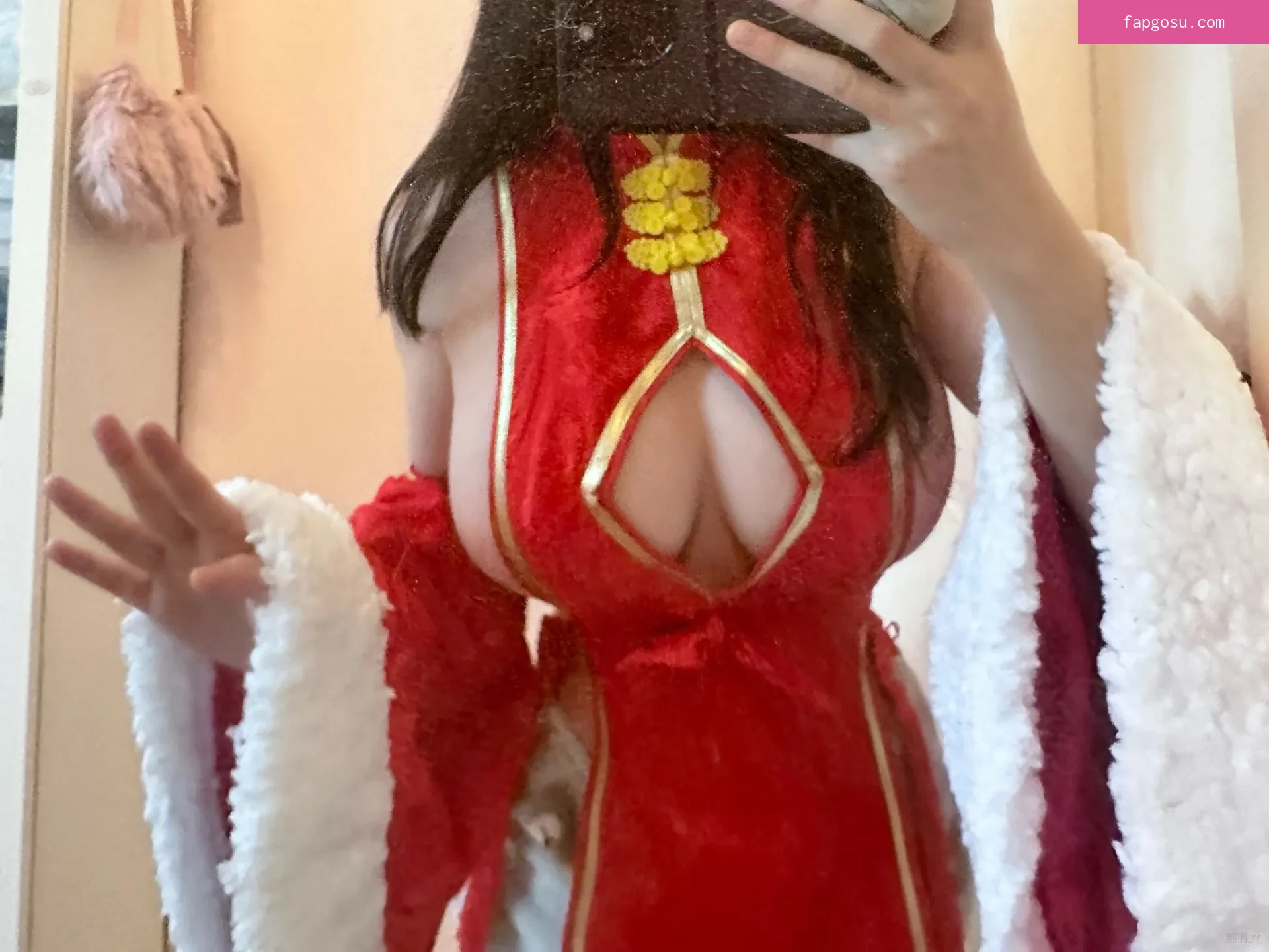 rissoft_