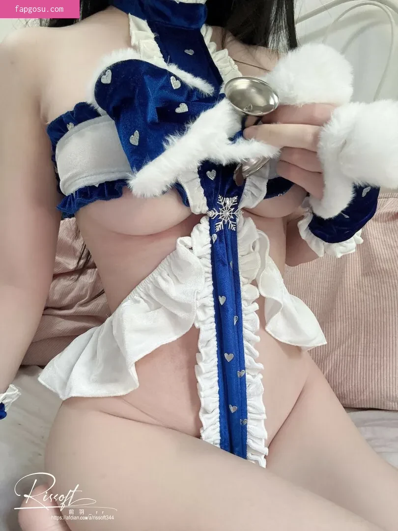 rissoft_