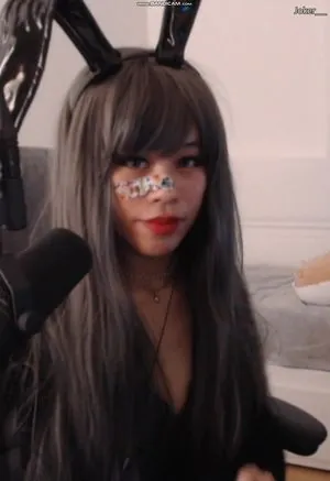 Saiiren content
