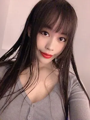 Saiiren content