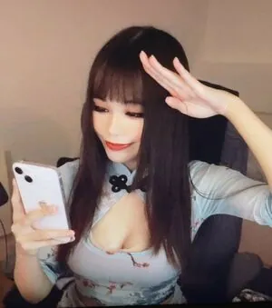 Saiiren content