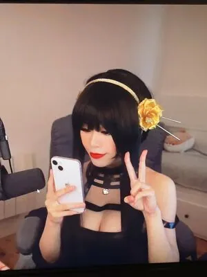Saiiren content