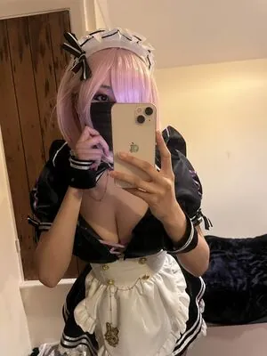Saiiren content