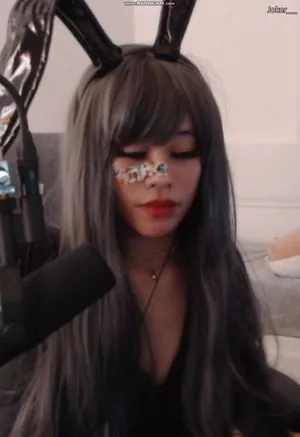 Saiiren content