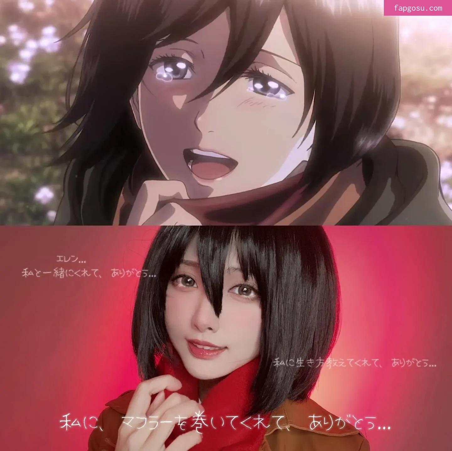 sakuracyan_