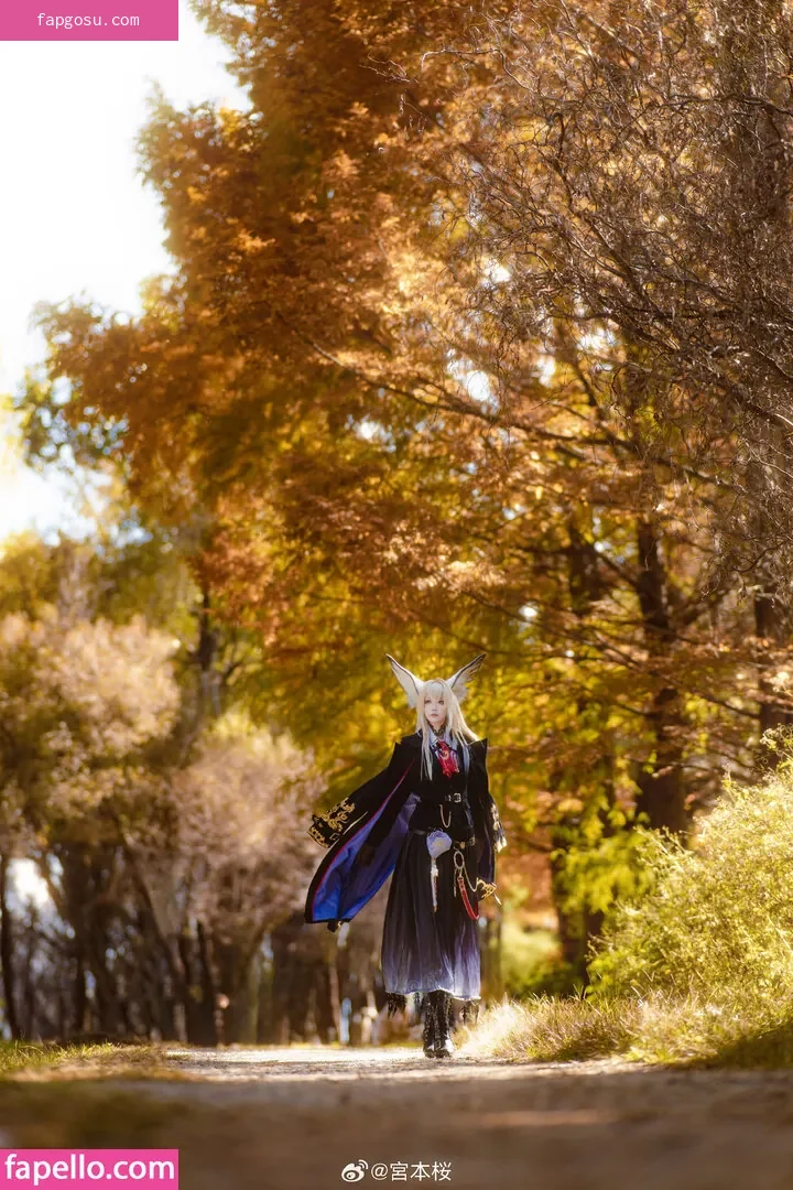 sakuracyan_