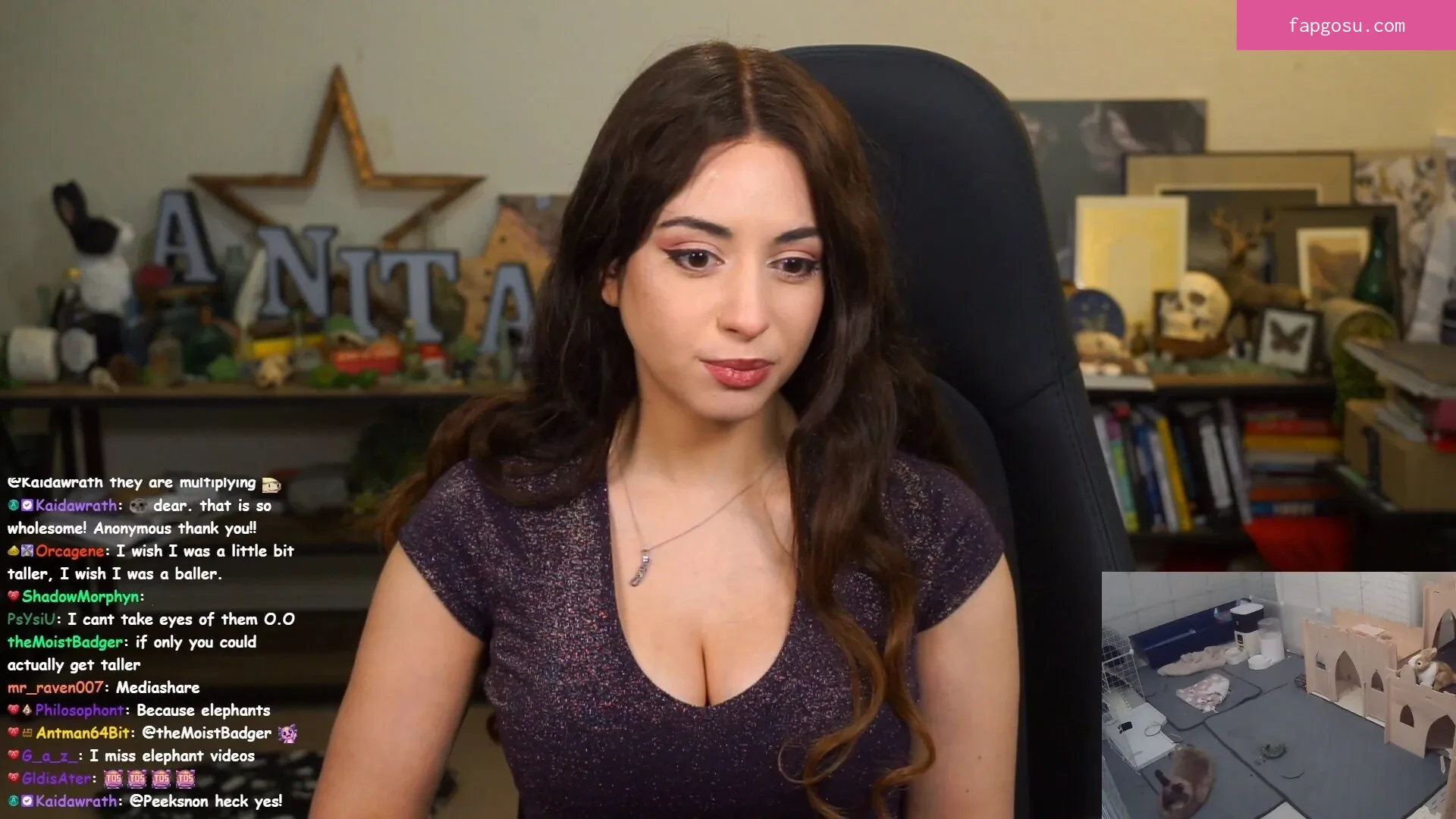 Sweet Anita