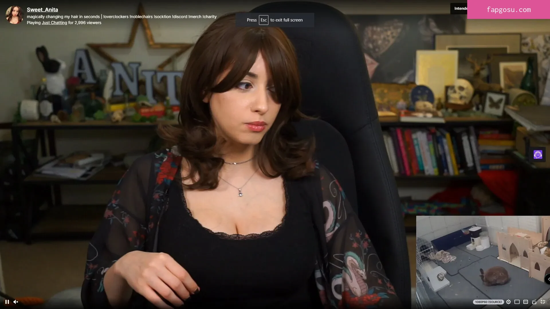 Sweet Anita