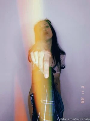 sativa.bby content