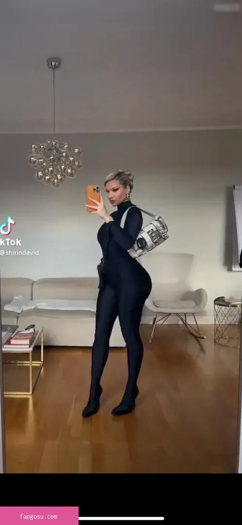 Shirin David