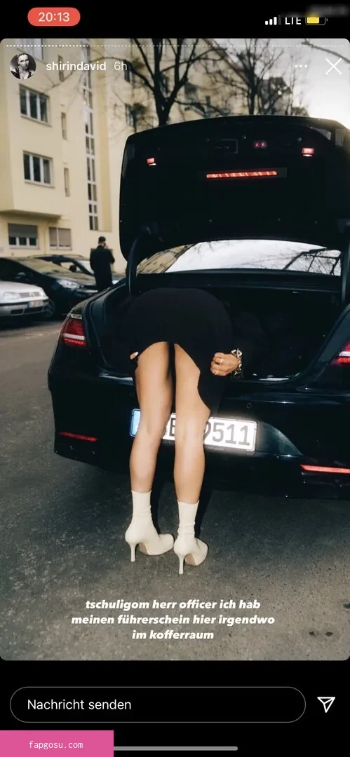 Shirin David