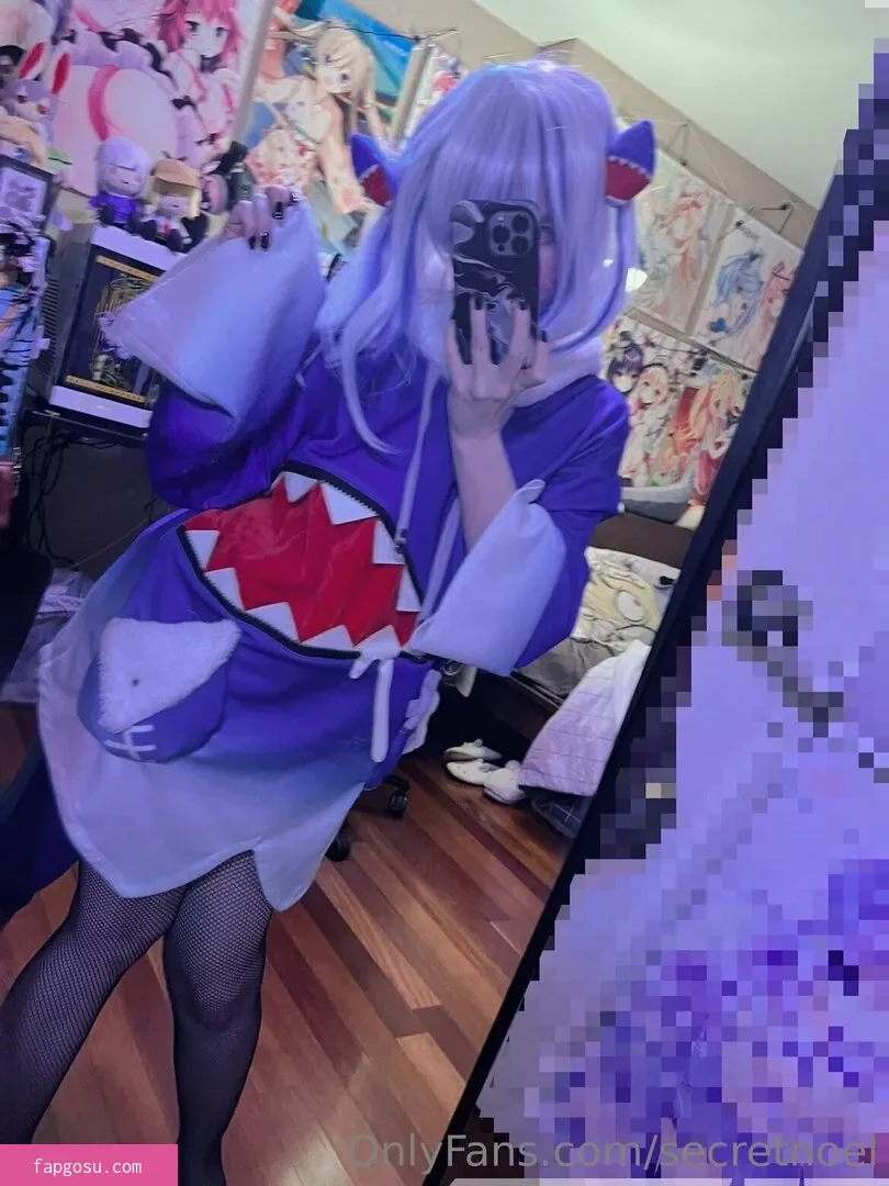 secretnoel