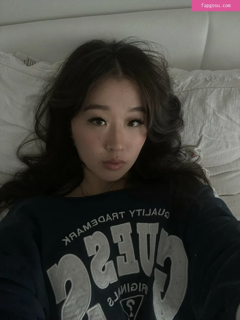 Senjiel