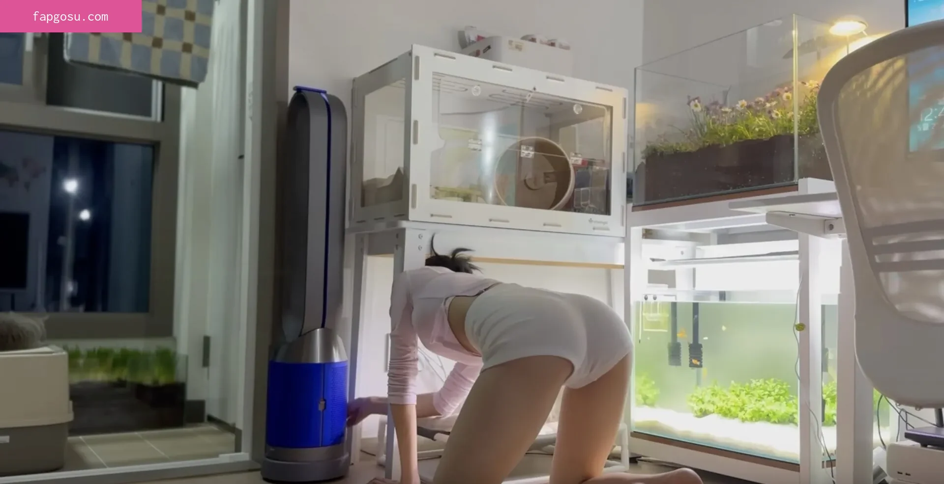 Seoa