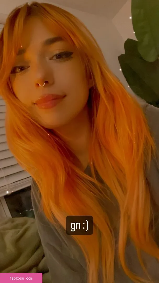 shelbygraces