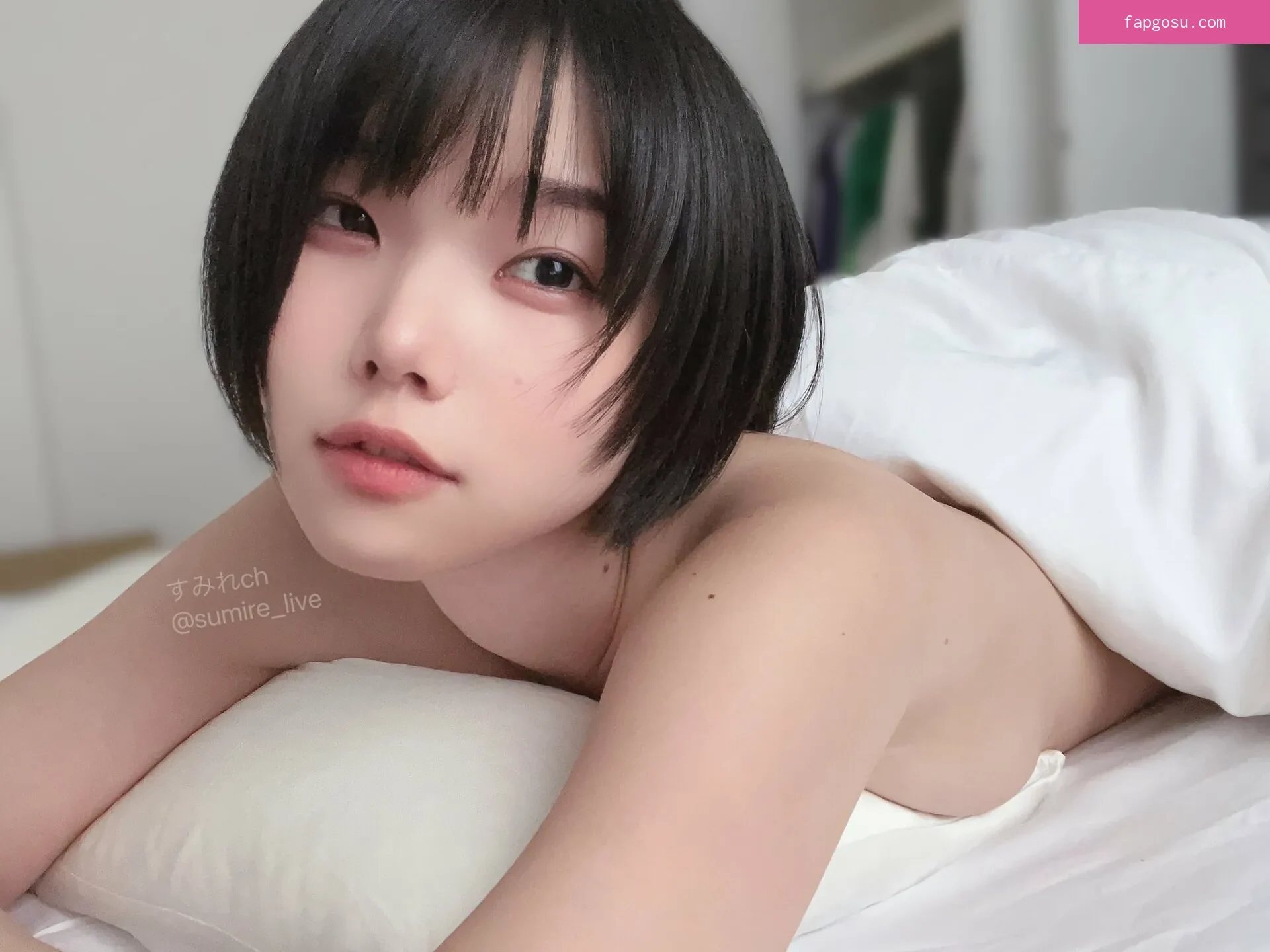 sumire_live
