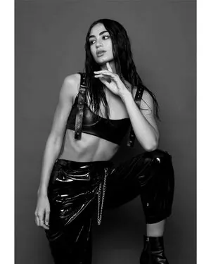 Sarah Mollica content