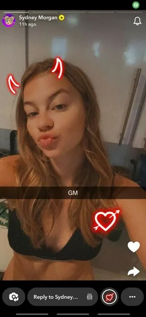 Sydney Morgan content