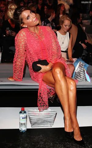 Sylvie Meis