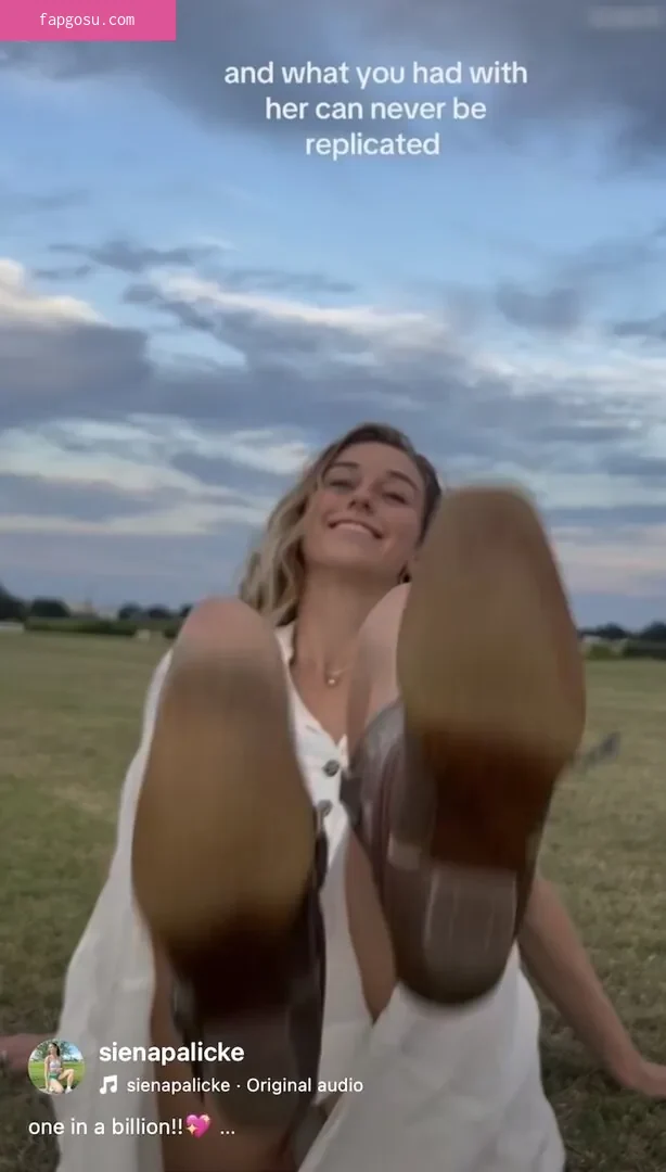 Siena Palicke