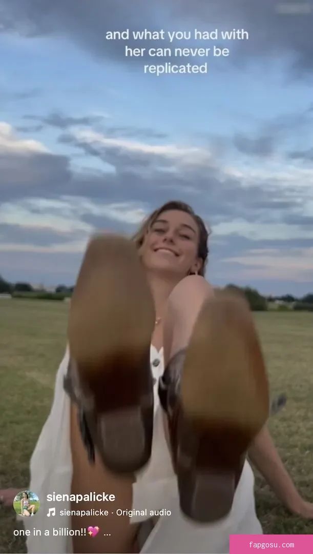 Siena Palicke