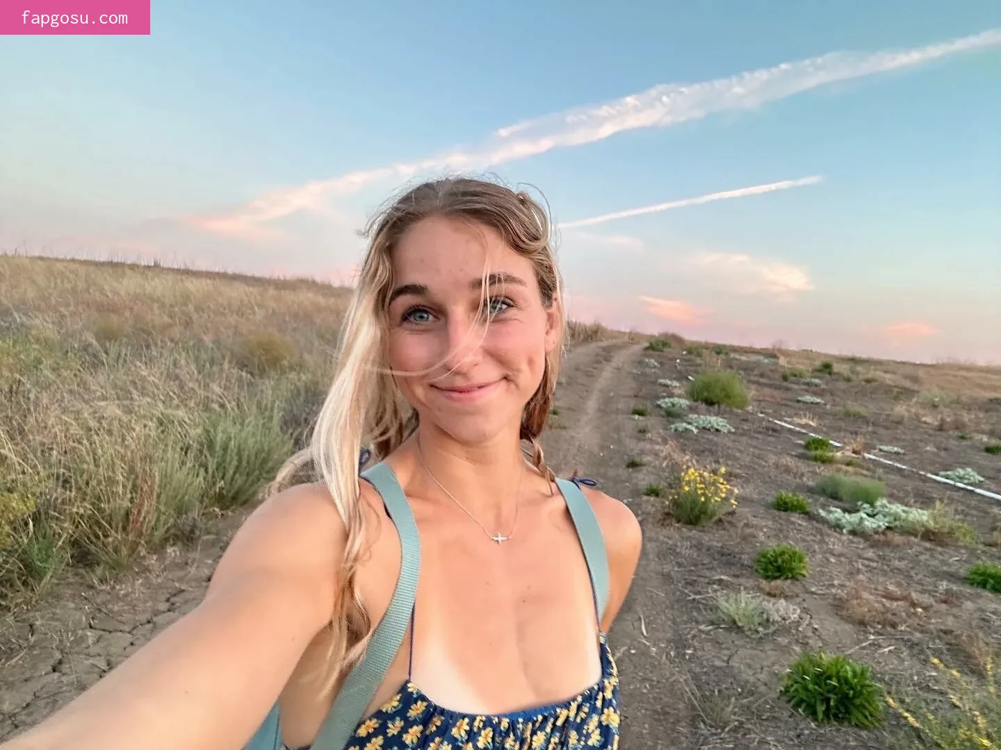 Siena Palicke