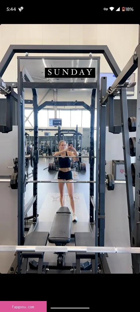 Siena Palicke