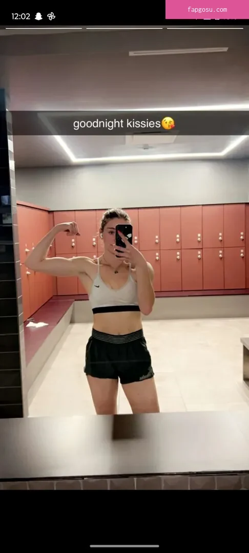 Siena Palicke