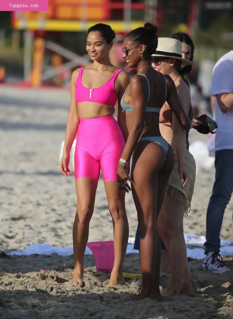 Shanina Shaik