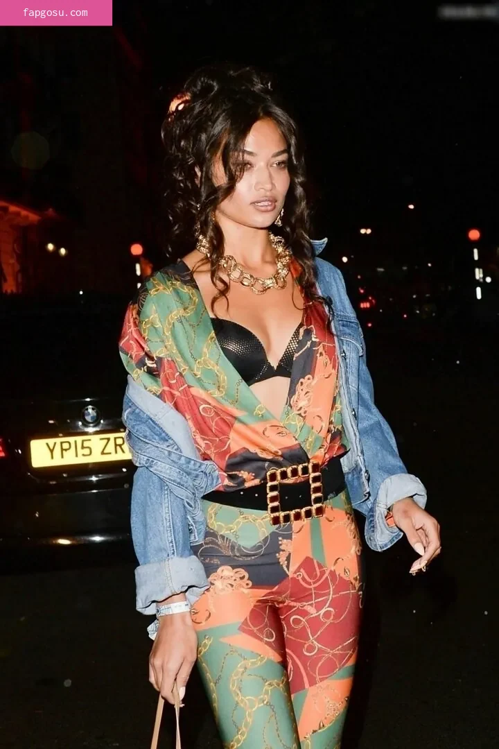 Shanina Shaik