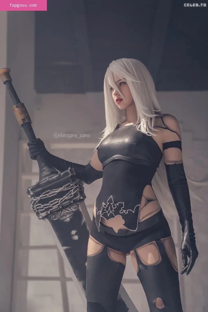Shirogane_sama - Photo #3107
