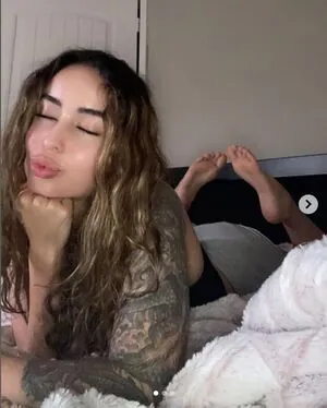 Sugarrboness content