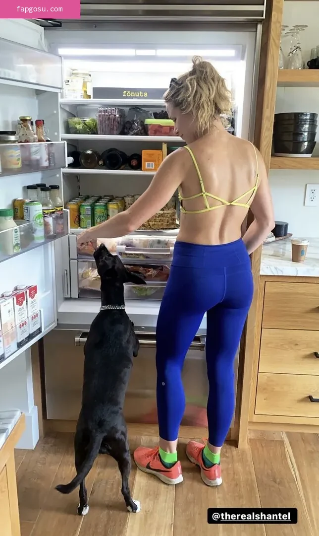 Shantel VanSanten