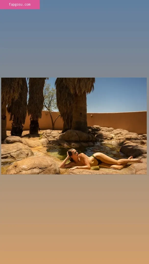 Shantel VanSanten