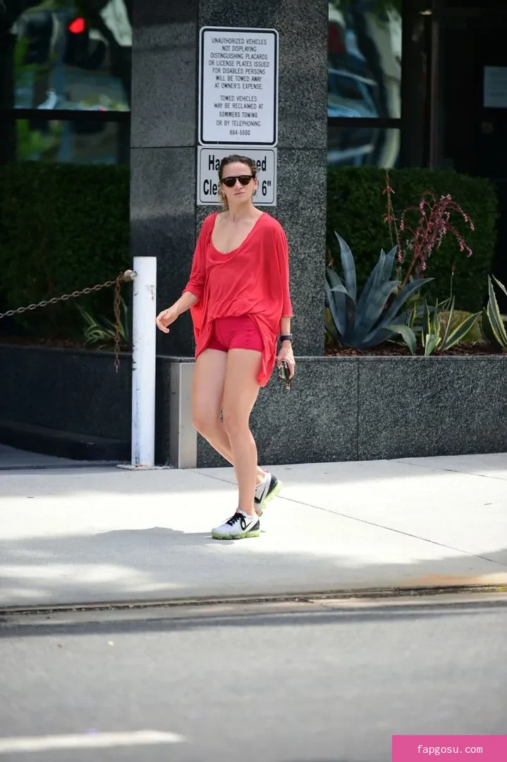 Shantel VanSanten