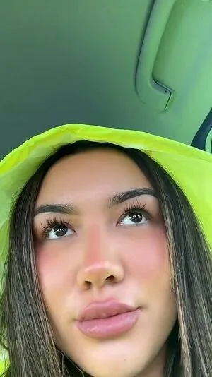 Setieva York content